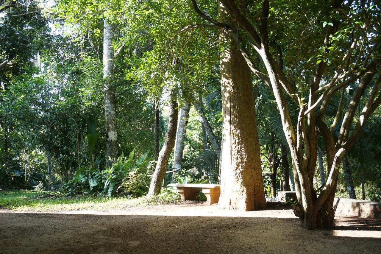Nature'S Hideout Holiday Home Mirigama Dış mekan fotoğraf